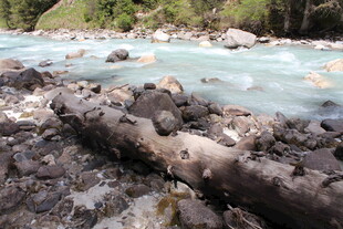 山间溪流旁的嶙峋岩石