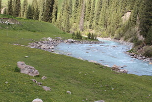 山间溪流旁的翠绿草地