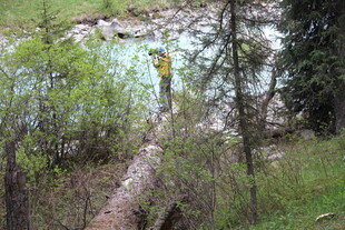 徒步者在林间原木小径穿行