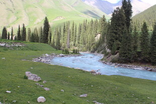山间溪流旁的葱郁美景