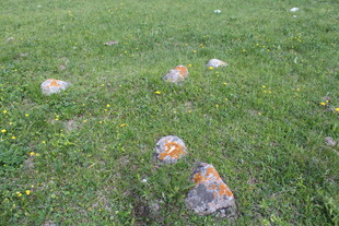 草地上的多彩石头