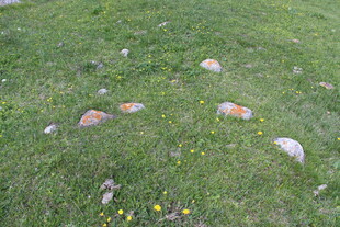 草地上散落的多彩石头