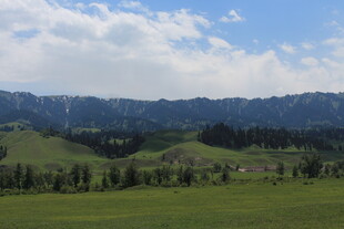 草原青山蓝天白云美景