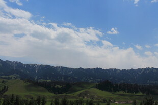 蓝天白云下的绿野风光