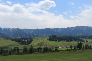 草原绿野山峦美景
