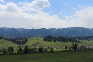 草原山峦美景远眺