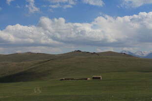草原上的悠然牧场景象