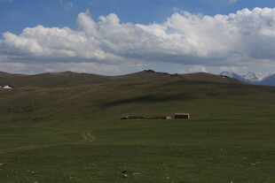 草原风光与远处的牲畜