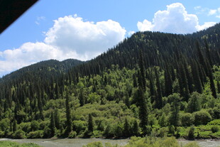 青山绿树间的秀丽山林景色