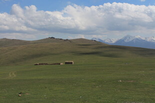 草原风光 远处有几座房屋