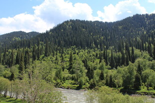 山林河流自然风光美景
