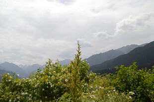 山间绿意与远处云雾景致