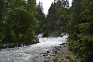 山间湍急溪流与茂密树林