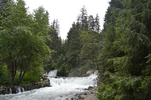 山间溪流穿林而过