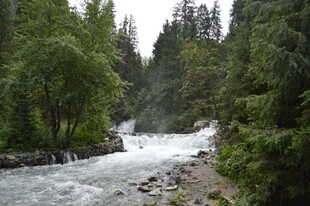 山间溪流穿林而过