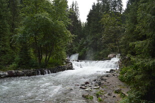 山间湍急溪流与茂密树林