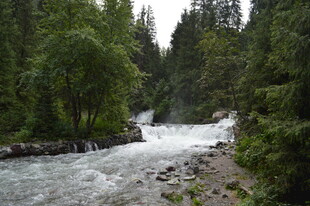 山间湍急溪流 绿树环绕