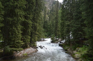 山间溪流穿林而过