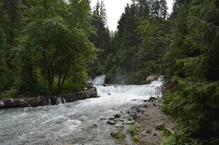 山间湍急溪流 绿意环绕