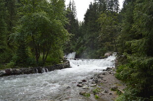 山间湍急溪流 绿意环绕