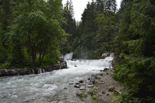 山间湍急溪流 绿意环绕