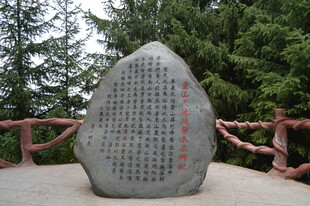 刻字石碑 周边绿植环绕