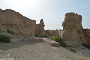 沙漠中的奇特土林景观