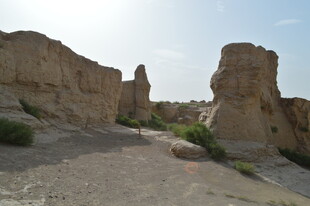 沙漠中的奇特土林景观