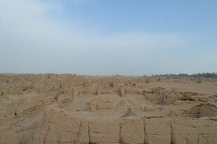 广袤沙漠中的奇特地貌