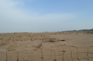 荒漠中的围栏景观