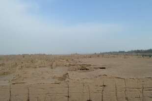 广袤荒漠中的围栏景象