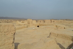 沙漠中的古老遗迹