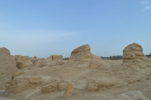 沙漠中的奇特土丘景观