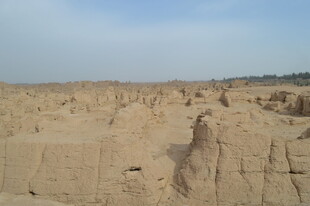 沙漠中的奇特土丘景观