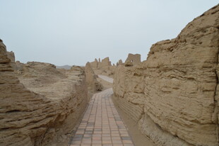 黄土沟壑中的砖石小径