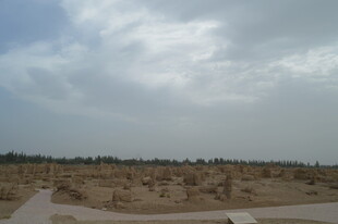 广袤荒凉土地景观