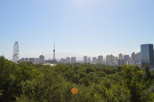 城市丛林中的天际线景观