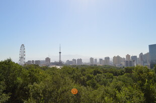 城市天际线与葱郁植被