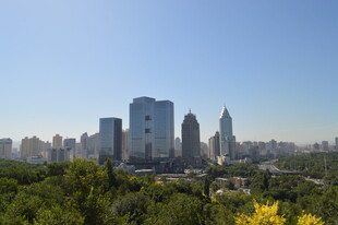 城市天际线与葱郁绿植