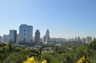 城市天际线与绿植景观