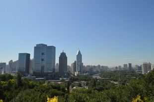 城市天际线与绿植景观