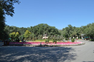 公园美丽花坛与开阔广场