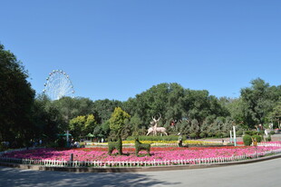 公园繁花绿树美景