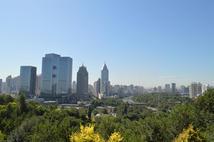 城市天际线与繁茂绿植