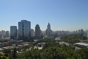 城市天际线 高楼与绿树相映