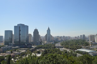 城市天际线与绿植景观