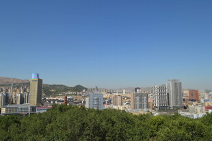 城市与绿树相映的天际线