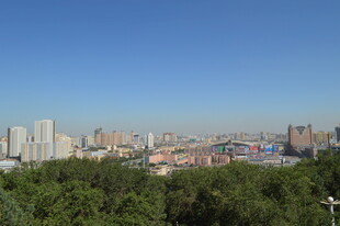 城市天际线与葱郁树林