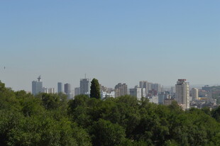 绿树掩映下的城市天际线