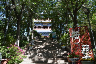 山林间的中式建筑景观